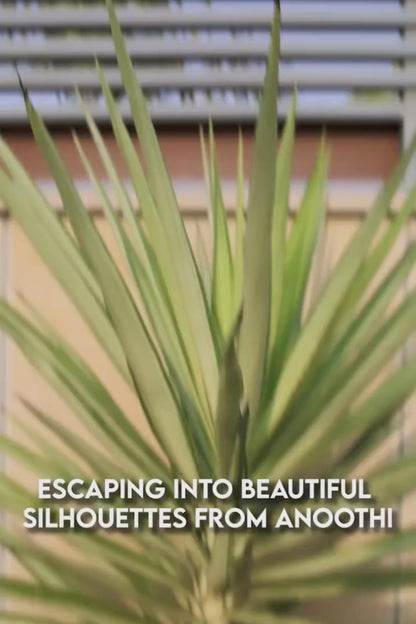 elegant kurta dupatta for ladies